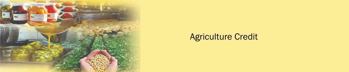 Agriculture Credit