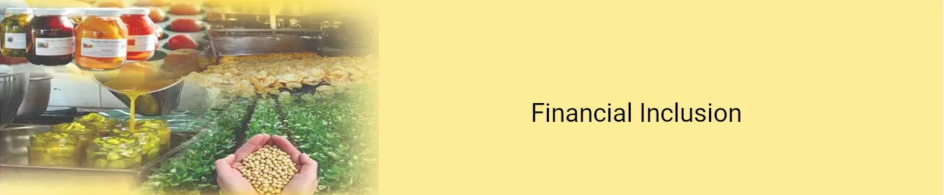 Financial Inclusion